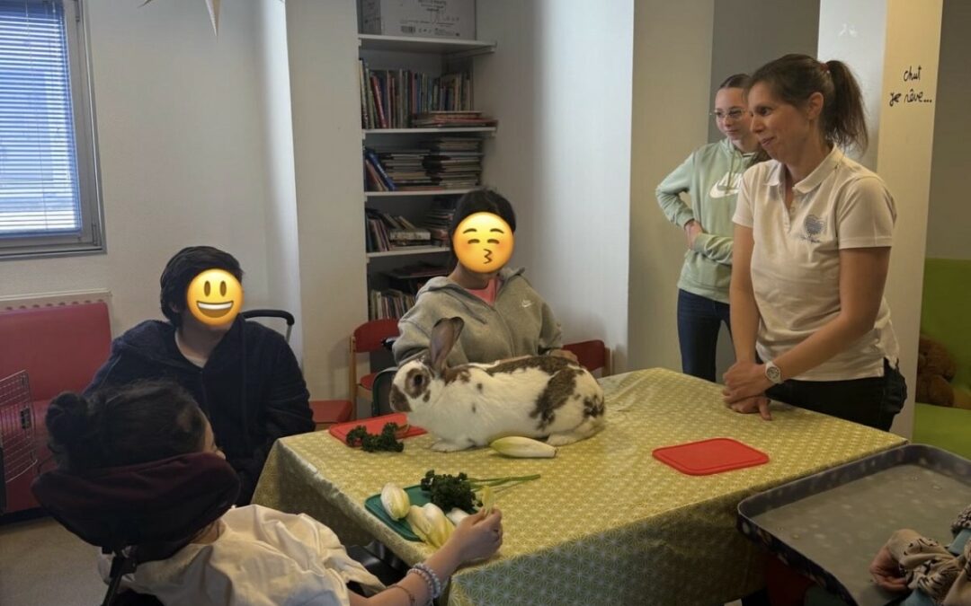 Séances de médiation animale