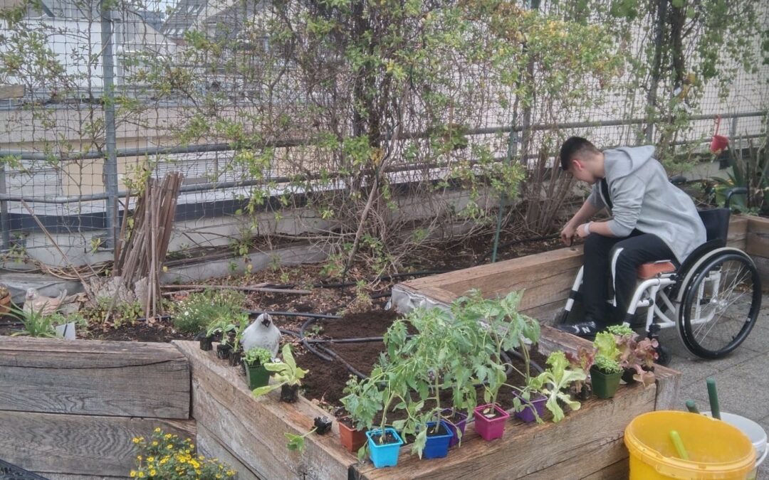 Entretien de la terrasse