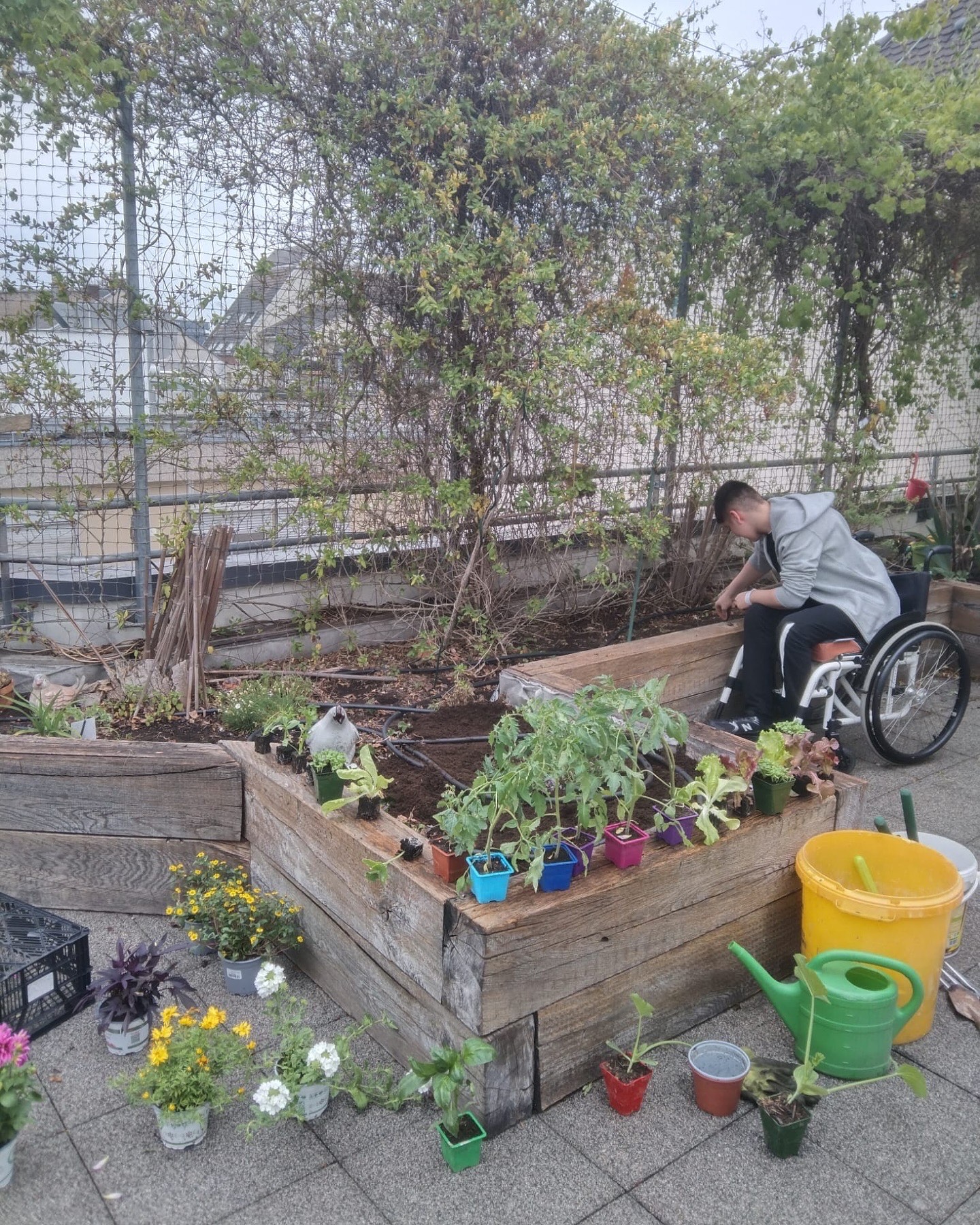 Jardinage_04