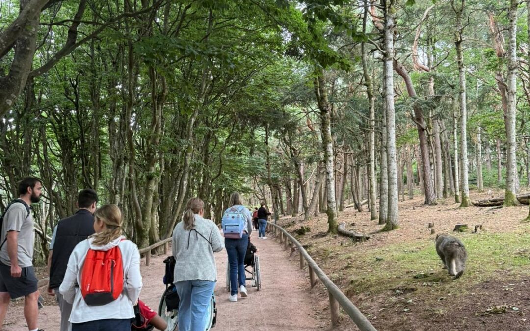 Montagne des Singes